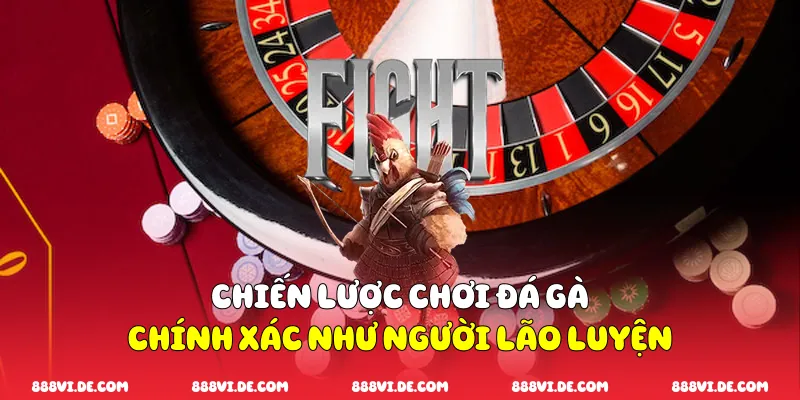 Chiến lược chơi đá gà chính xác như người lão luyện