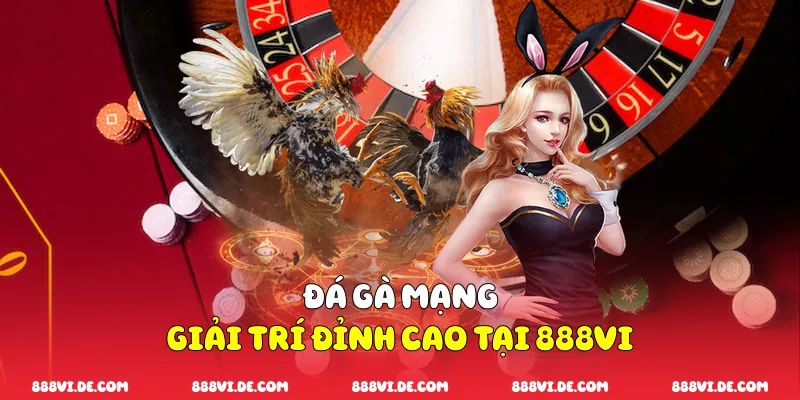 Đá Gà Mạng
