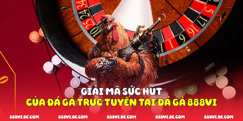 Giải mã sức hút của đá gà trực tuyến tại đá gà 888vi