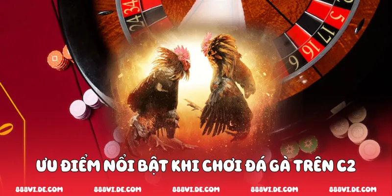 Ưu điểm nổi bật khi chơi đá gà trên c2
